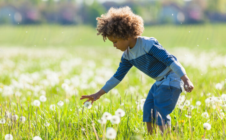  Understanding Differences Between Seasonal and Year-Round Allergies