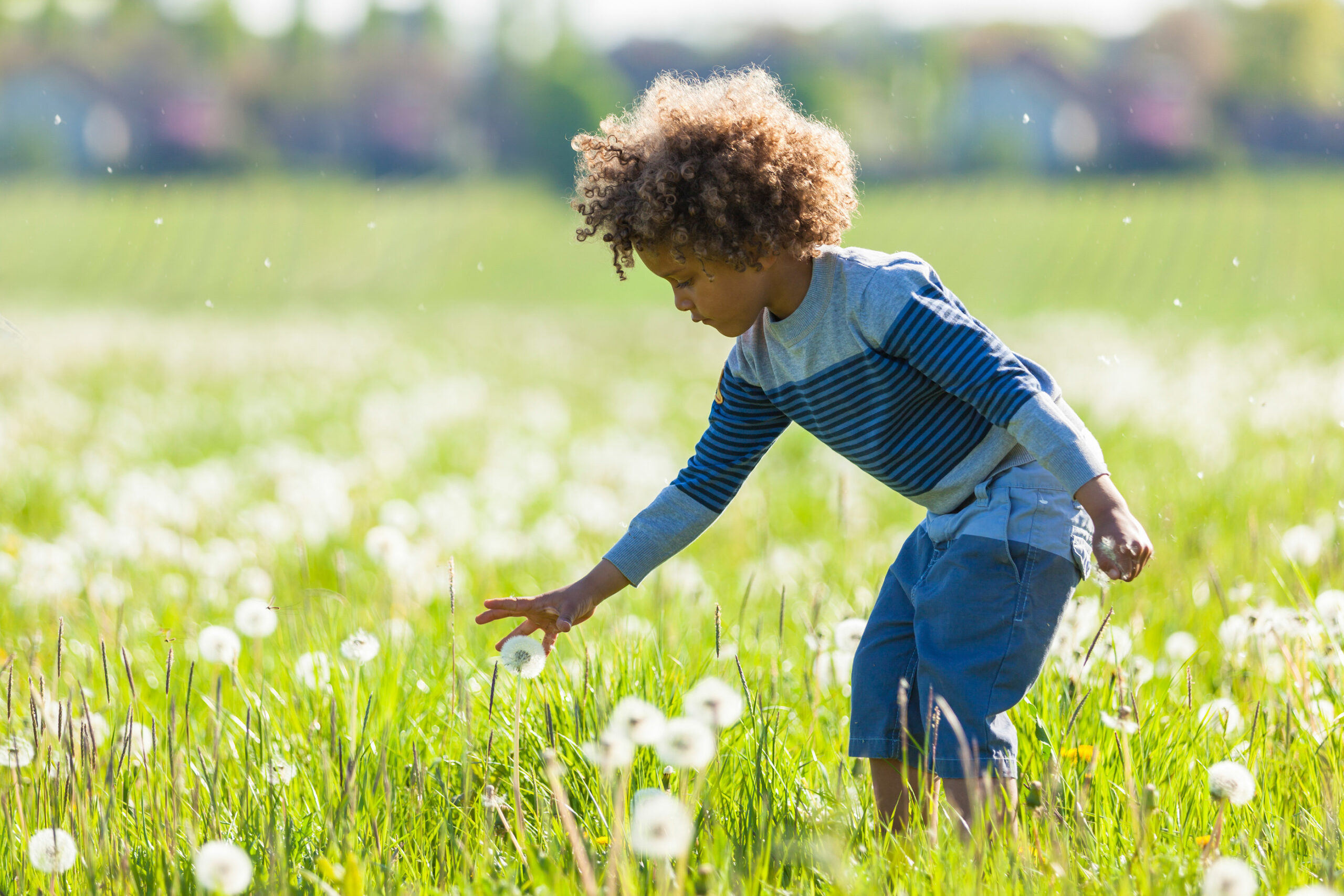 Understanding Differences Between Seasonal and Year-Round Allergies