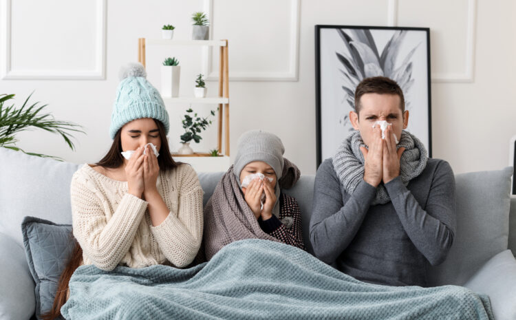  Common Allergies Found in the Home and How to Reduce Exposure to Them