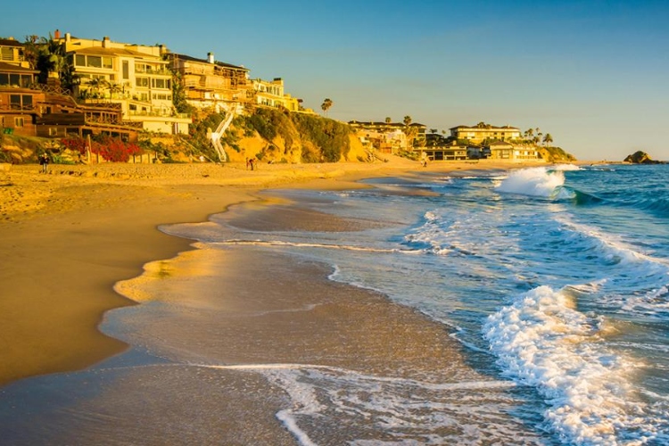 Unraveling the Secrets of Beach Allergies